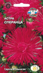 Астра Сперанца (игольчатая, малиновая)