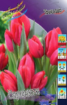 Тюльпан Серенити (1 шт.) 3442