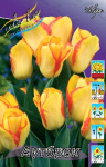 Тюльпан Аутбрек (1шт) 925