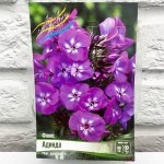 Флокс АДИНДА