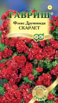 Флокс Скарлет друммонда* 8 шт. сер. Элитная клумба
