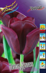 Тюльпан Блэк Джек (1шт) 3006