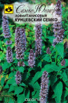 Лофант анисовый Кунцевский Семко