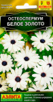 Остеоспермум Белое золото 10шт