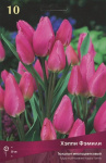 Витрина Тюльпан Многоцветковый 7070 Хэппи Фэмили (темно-розовый 11/12) 1шт