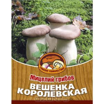 Грибы Вешенка Королевская