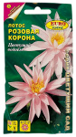 Лотос розовая корона АЭЛИТА серия ЦВЕТУЩИЙ САД