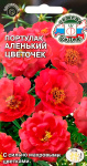 Портулак Аленький цветочек (крупноцветковый, ярко-красный)
