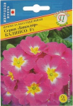 Примула Биколор Калипсо 5 шт Япония