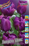 Тюльпан Негрита Микс (1шт)
