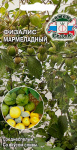 Физалис Мармеладный (Евро 0,1)