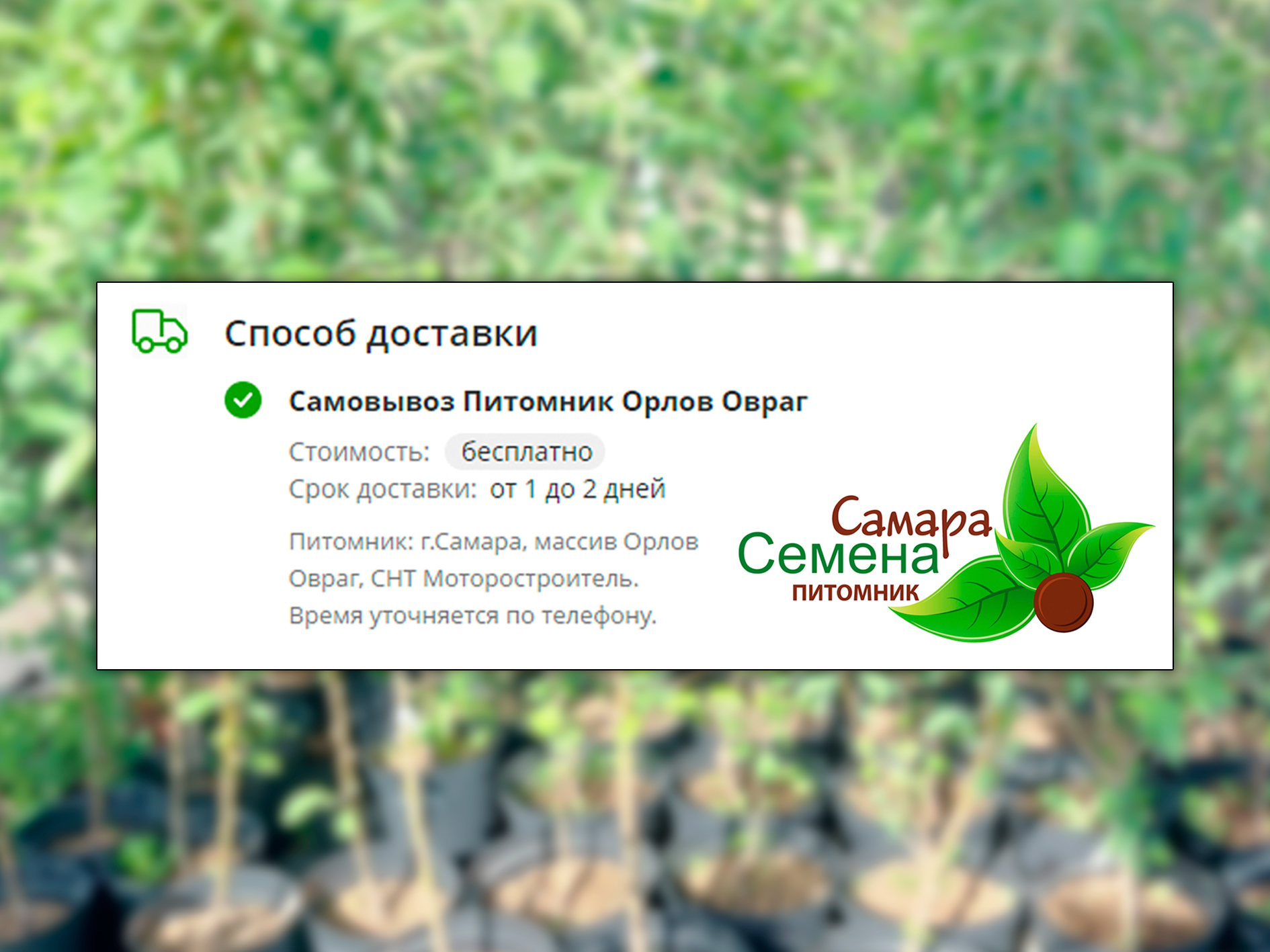 Купить Семена в Самаре почтой в интернет магазине. Каталог семян.