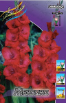 Гладиолус Мексика (10шт) 3037