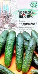 Огурец ДИНАМИТ F1 Урожай на окне