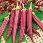 Бамия Карминная пышная 10шт