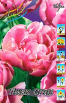 Тюльпан Пинк Стар (1шт) 895