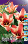 Тюльпан Царь Петр (1шт) 3473
