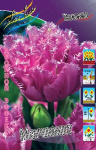 Тюльпан Матчпоинт (1шт) 1362
