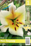 Лилия Мисс Пекулияр (1шт)