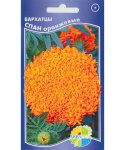 Бархатцы Спан оранж (нана спун оранж)