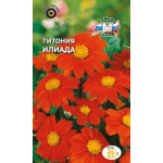 Титония Илиада (ярко-красная)