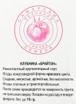 Земляника Брайтон