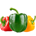 Перец Перец