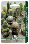 Кактусы МЕГА МУЛЬТИ МИКС БиоТехника