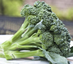 Капуста Брокколи Фиеста,15 шт Голландия