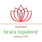 Братья Топалович