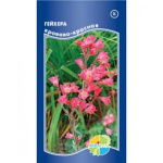 Гейхера кроваво-красная (сиукс фолс)