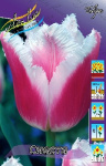 Тюльпан Супер Сиеста (1шт) 2495