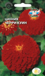 Цинния Черри куин (георгиновидная, вишневая)