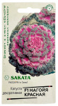 Капуста декоративная НАГОЙЯ КРАСНАЯ ГАВРИШ