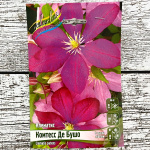 Клематис КОМТЕСС ДЕ БУШО (3 группа обрезки)