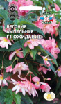 tsvetok-begoniya-ozhidanie-f1-_ampelnaya_