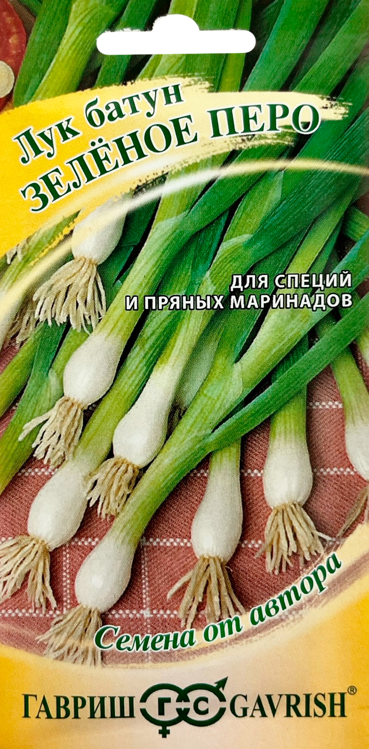 Лук на зелень Зеленое перо 0,5 г автор. семена купить в Самаре по цене 27  руб.