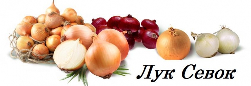 Семена в Самаре
