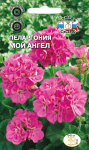 Пеларгония Герань Мой Ангел зональная