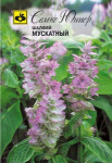 Шалфей мускатный