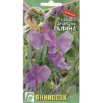 Горошек душистый Галина
