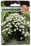 Астра китайская БАМБИНА ВАЙТ биотехника