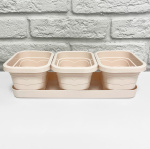 Цветочное трио ВАЛЕНСИЯ с поддоном