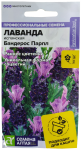 Лаванда испанская Парпл 5шт