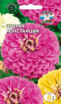 Цинния Констанция (изящная, пурпурная)