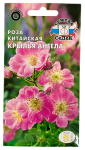 Роза китайская КРЫЛЬЯ АНГЕЛА СеДеК
