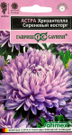 Астра Хризантелла Сиреневый восторг  0,05 г Н20