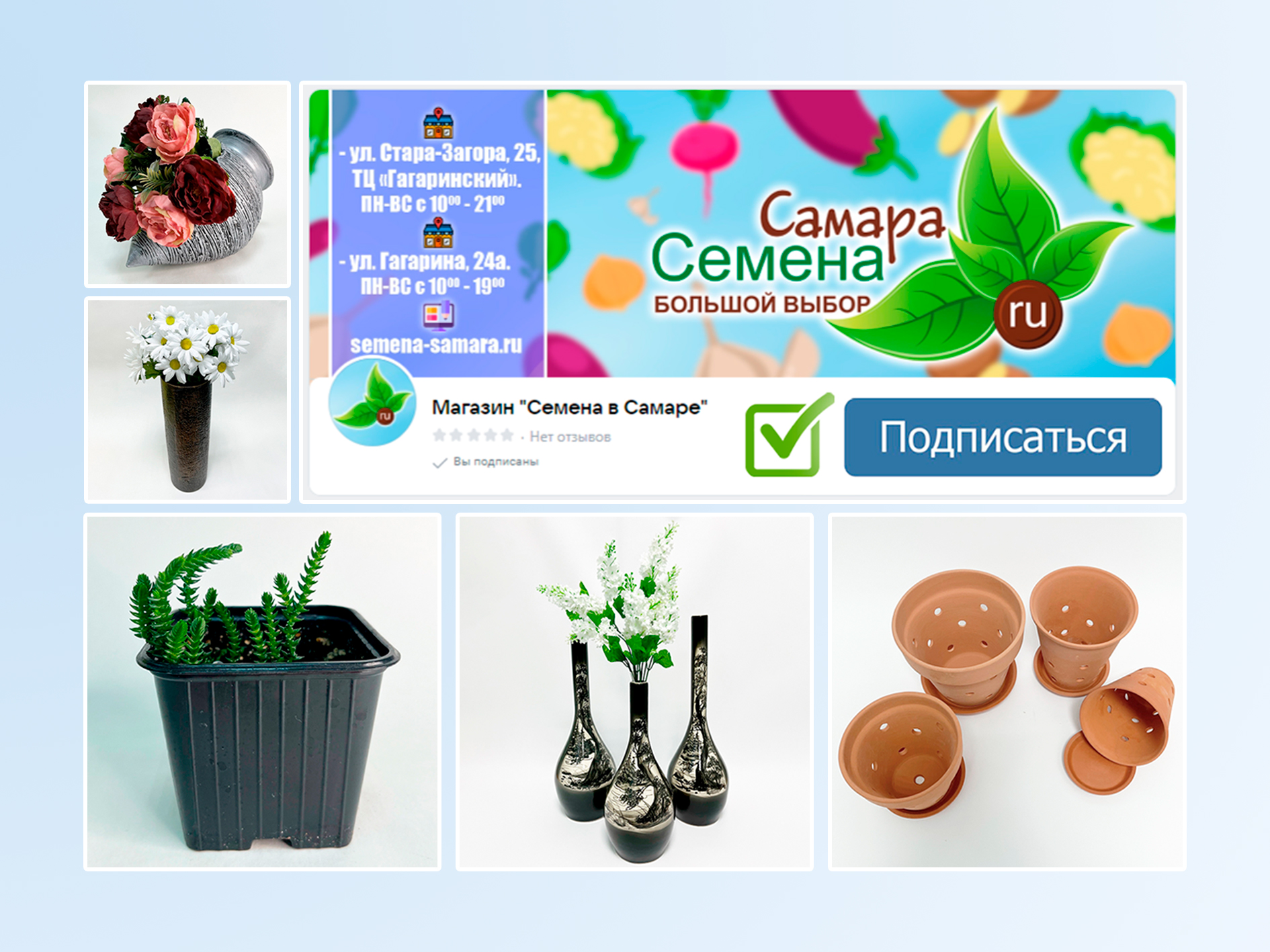 СЕМЕНА ВКОНТАКТЕ