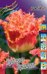 Тюльпан Джоинт Дивижн (1шт) 3357 (10)