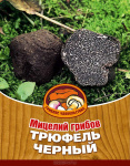 Грибы Трюфель черный